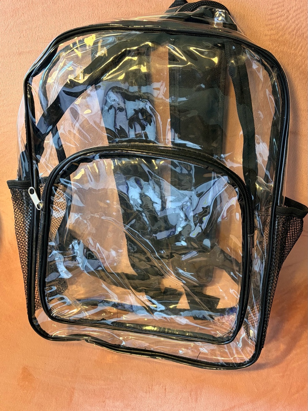 Clear Transparent Black-Trim Backpack - 15 inches